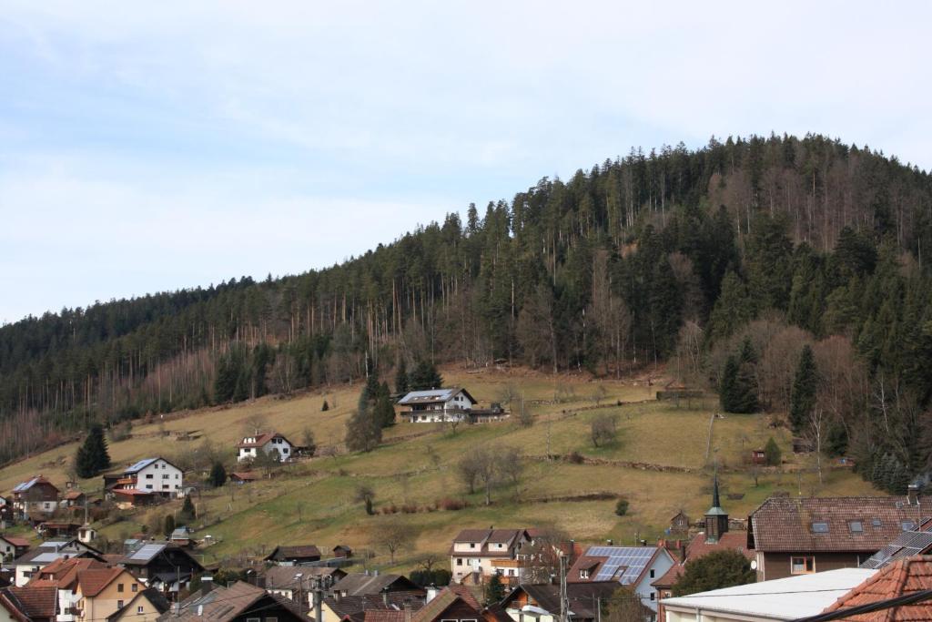 Schwarzwald-Gasthof Hirsch Hotel Bad Wildbad Phòng bức ảnh